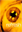 http://www.digitalsandbox.org/images/projects/REFRESH/thumb/Refresh Thumbnail.png Thumb